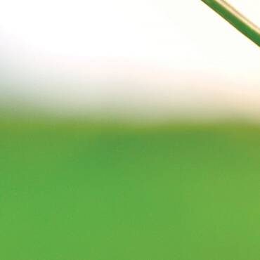 GREEN SOLUTIONS