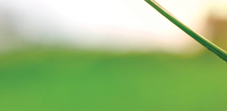 GREEN SOLUTIONS
