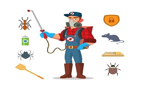 Fast Pest  Removal
