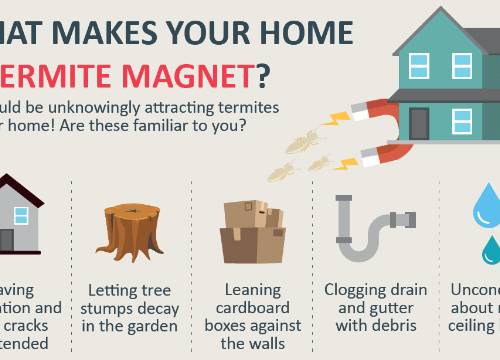 main_termite-magnet-desktop main_termite-magnet-desktop