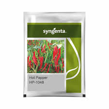 Sygenta Hot Pepper | 1048 (1500 Seeds)