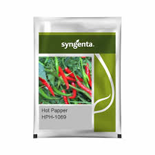 Sygenta HPH - 1069 | Hot Pepper (1500 Seeds)