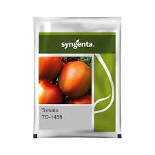 Syngenta TO-1458 | Tomato (4000 SEED)