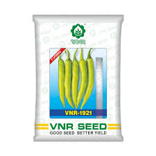 VNR F1 1921 | Hybrid Chilli Seeds