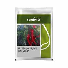 Sygenta HPH - 2043 | Hot Pepper (20000 seeds)