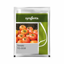 Syngenta TO-3038  | Tomato (3000 SEED)