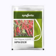 Sygenta HPH - 5531 | Chilli (1500 Seeds)