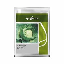 Sygenta BC 76 | Cabbage (20000 SEEDS)
