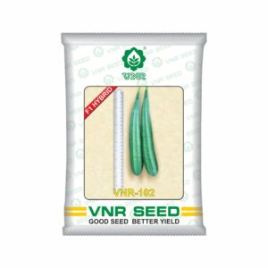 VNR Ridge gourd HYBRID 102 | 10g