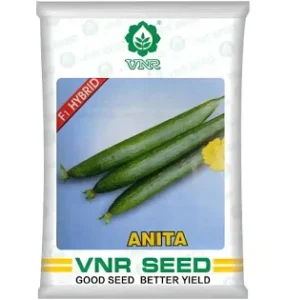 VNR Anita F1 Hybrid Sponge Gourd | 10g