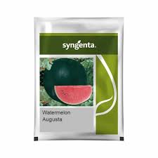 Syngenta Augusta | Watermelon (800 Seeds)