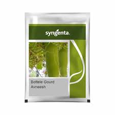 Sygenta Avneesh | Bottle Gourd 50g