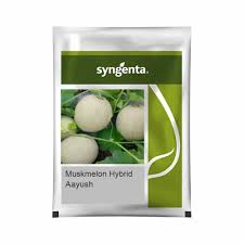 Sygenta Muskmelon | Aayush (1000 SEEDS)