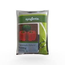 Syngenta F1 Bomby | Capsicum Seeds