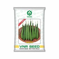 VNR Aarti | Ridge gourd 10g