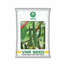 VNR Ridge gourd | Rajni 10g