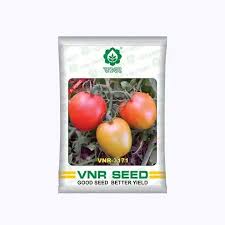 VNR 3171 | Tomato Seeds 10g
