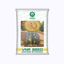 VNR P-6 Gold Pumpkin Seeds