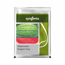 Syngenta Dragon King | Watermelon 50g