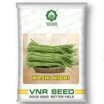 VNR Kashi Nidhi Cowpea Variety (Open Pollinated) 100g