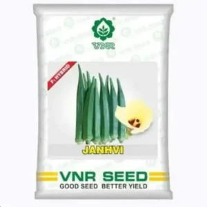 VNR Janhvi Bhindi Hybrid