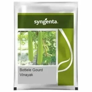 Syngenta Vinayak Bottle Gourd Seeds