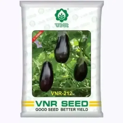 VNR 212 Hybrid F1 Brinjal Seeds 10gm