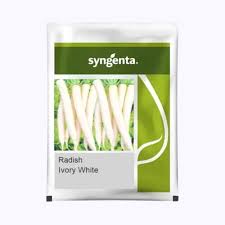 Syngenta Ivory White | Radish Seeds 50g