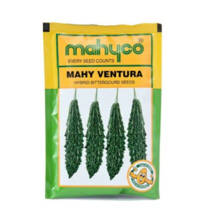 Mahyco Mahy Ventura | Hybrid Bittergourd Seeds | 1Og
