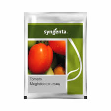 Sygenta Meghdoot T0-2048 | Tomato (3500 Seeds)