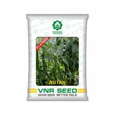 VNR F1 Nutan | Hybrid Chilli Seeds (10gm)