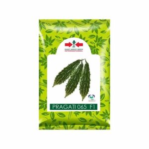 Pragati 065 F1 Bitter Gourd Seeds | 50g