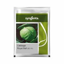 Sygenta Royal Ball | Cabbage (2500 seeds)