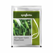 Sygenta Hot Pepper | Hybrid Royal Bullet (1500 seeds)