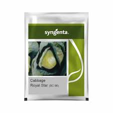 Sygenta Royal Star | Cabbage (2500 seeds)