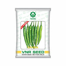 VNR F1 Sahiba | Hybrid Chilli Seeds