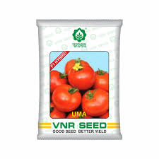 VNR F1 Uma | Tomato Seeds 10g