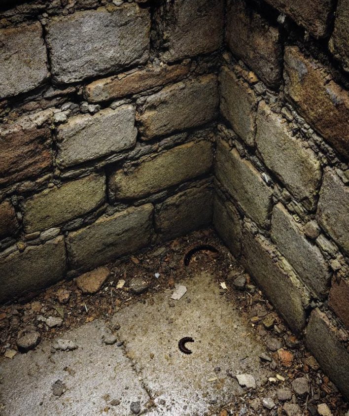 WhatsApp Image 2025-06-27 at 3.05.12 PM (1)